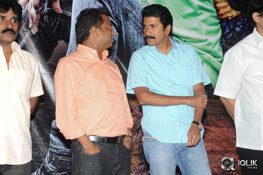 Cut-Chesthe-Movie-Audio-Launch